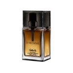 عطر ادکلن جیبی بالرینا D Homme دیور هوم 30 میل
