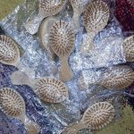 برس تمام چوب سایز کوچک