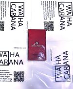 ادکلن 30 میل پرفیوم فکتوری رایحه ویکتوریا سکرت بامشل اینتنس - تصویر 2