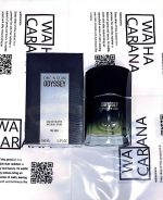 ادکلن مردانه شیکن گلامChic'n glam مدل اودیسه Odyssey حجم 100 میل رایحه اونتوس - تصویر 2