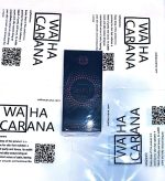 ادو پرفیوم شیکن گلم مدل SHINE حجم 100 میلی لیتر رایحه جادور - تصویر 3