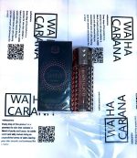 ادو پرفیوم شیکن گلم مدل SHINE حجم 100 میلی لیتر رایحه جادور - تصویر 2