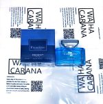 ادکلن مردانه دیسنت مدل frontiere فرونتیر حجم 100 میل رایحه اینوکتوس - تصویر 2