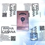 ادکلن نیوبرند مدل مستر اف پینک گلد حجم ۱۰۰ میلی لیتر رایحه المپیا - تصویر 3