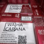 رنگ مو دنی وان پلاس DANI ONE PLUS بدون آمونیاک شماره 7.31 بلوند بژ متوسط حجم 100 میلی لیتر