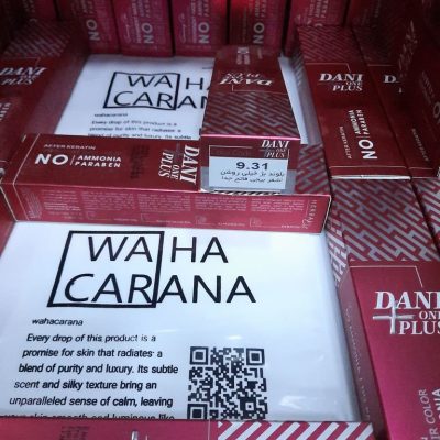 رنگ مو دنی وان پلاس DANI ONE PLUS بدون آمونیاک شماره 9.31 بلوند بژ خیلی روشن حجم 100 میلی لیتر