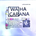 رژ مدادی میس استار NO 05