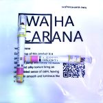 رژ مدادی میس استار NO 22